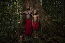 alea nova telanjang|Lagu Pulang - Cover Akustik by Dwisasono | Viral Music Video | TikTok