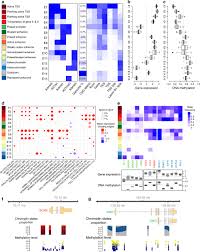 kim yuna nude fake |The deubiquitinase USP21 stabilizes MEK2 to promote tumor growth | Cell  Death & Disease