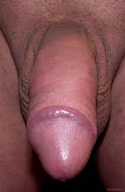 Penis close jpg x Penis close up