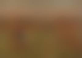 teens nudist life|Brazil's Nudist Beach 🇧🇷 (First time experience!) - YouTube