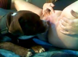 Assistant dog licks his master pussy zoo porn dog sex zoophilia jpg x Dog licking pussy