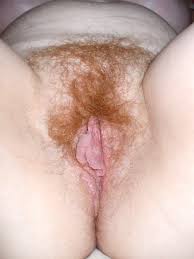 Photo porn sandbox red hair jpg x Red pubic hair