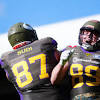 Vienna Vikings