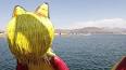 Les îles flottantes du lac Titicaca ile ilgili video