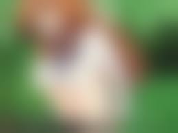 hentai pissing uncensored|kidovie, mari (blue archive), blue archive, absurdres, highres, 1girl,  animal ears, blue eyes, blush, bottle, hairband, jacket, long hair, orange  hair, panties, panty pull, pee, peeing, peeing in bottle, pussy, standing,  track