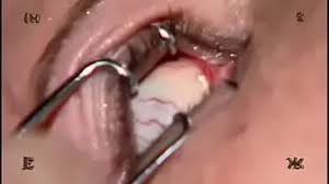 Insex videos porn videos jpg x Insex videos