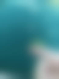 tonkato хентай|Посты пользователя Nikita_exe - JoyReactor