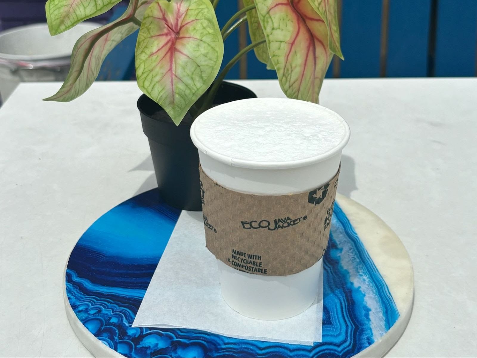 Little Food Studio by null