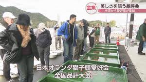 Purenudism 日本|鈴木奈穂子 & 和久田 麻由子 & 西堀裕美 ☆ おはよう日本～NHK : 女子アナ & 気象予報士