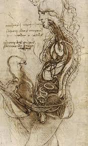 Nzazndk oc jkzxitbgvvbmfyzg tzgetdmluy lwfuaw hdgvk jpg x Da vinci