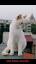 La fascinante historia de los gatos siameses ile ilgili video