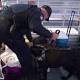 Townsville sniffer dog searches net nine on drugs charges 