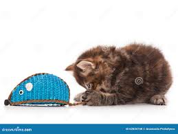 siberian maus|Amazon | KOOLmouse [ ワイヤレスマウス 2.4Ghz 無線光学式マウス ] [ Husky Siberian Dog Cute  Puppy ] | KOOLmouse | マウス 通販