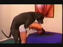 Black skinned zoophile fucked savagely a dog jpg x Black girl fucks dog