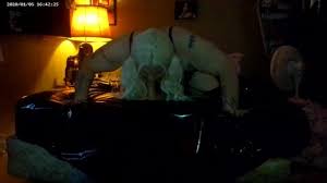 Watch spers asmr ginny whispers pov teen porn spankbang jpg x Ginny whispers