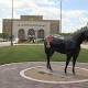 Funding for Texas Tech Veterinary School approved by lawmakers - KFDA