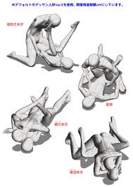 体位48手|四十八手の極意〈永久保存版〉 - MAXAM
