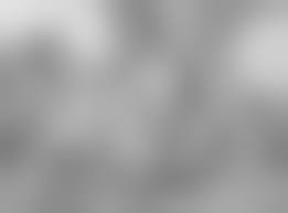 porn art drawing|Tom Poulton Erotic Drawing