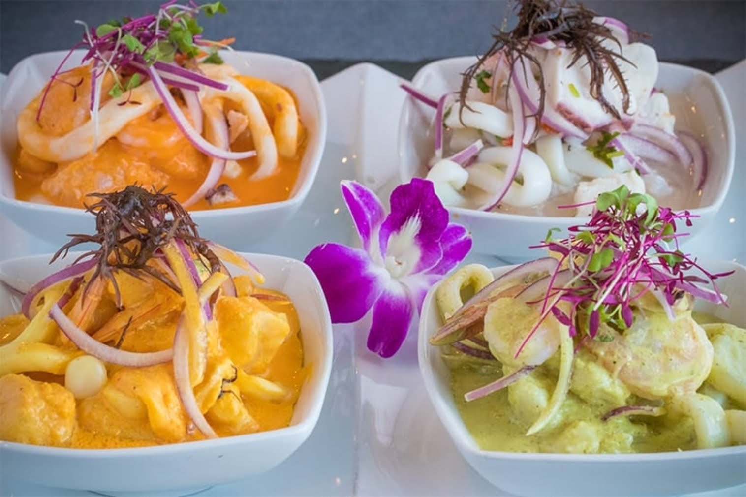 Dr. Limon Ceviche Bar - FIU by null