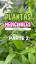 El Poder de las Plantas: Un Aliado Verde para la Salud y el Bienestar ile ilgili video