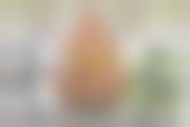 ftvgirls mindy nude|Mindy Goes Out For A Sexy Public Flashing Bike Ride! | My FTV Girls Blog