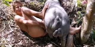 Zooporno yasmin boar pig thumbnail jpg x Pig fuck