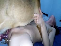 Animal porn a man and his dog fuck a sexy blonde girl zoo porn dog at katitube jpg x Girl fucked by dog