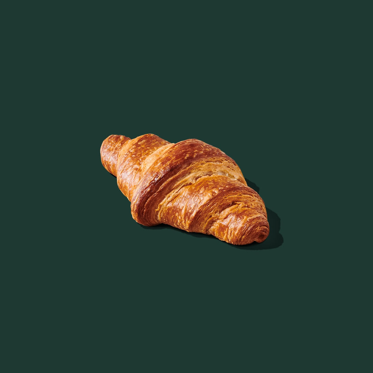 Starbucks by null