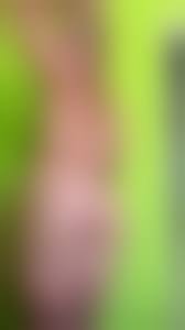 tall fetish porn|Full Video - Foot fetish therapy session, POV (tall girl feet, big feet,  boots, pantyhose, POV foot worship) | Pornhub