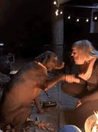 Women fucked dog php x Women fucked by dog