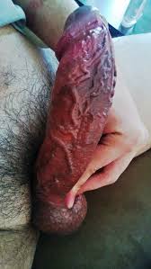 Veiny cock jpg x Veiny cock