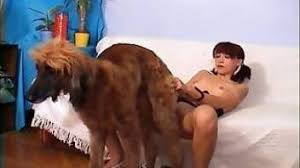 Girl fuck dog jpg x Girl fuck by dog