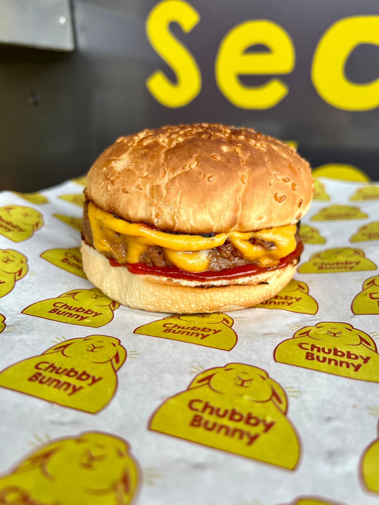 Chubby Bunny by null