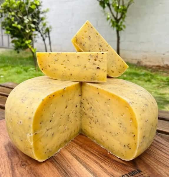 Begum Victoria Cheese by null