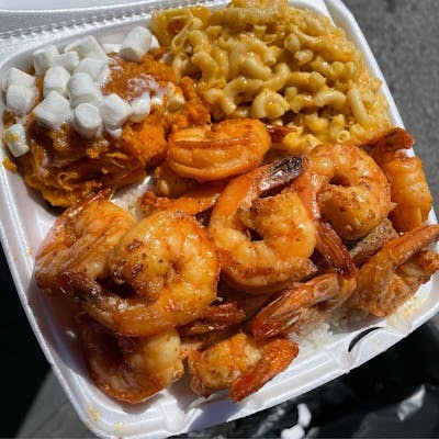 302 Food Plug by null