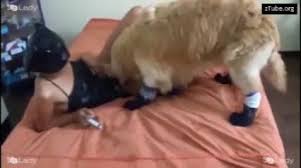 Art of zoo marcia hard petting dog porn movie jpg x Woman fucking animals