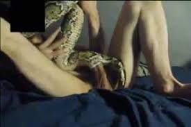 Man fucks snake jpg x Man fucks snake