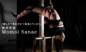 杉浦則夫緊縛桟敷　縄酔い|緊縛桟敷キネマ館 杉浦則夫監修 /商品詳細 緊縛桟敷三十六巻