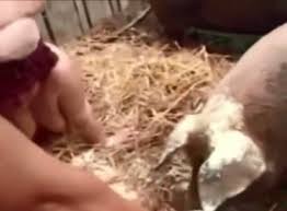 Free farm fuck porn videos from thumbzilla jpg x Farm fuck