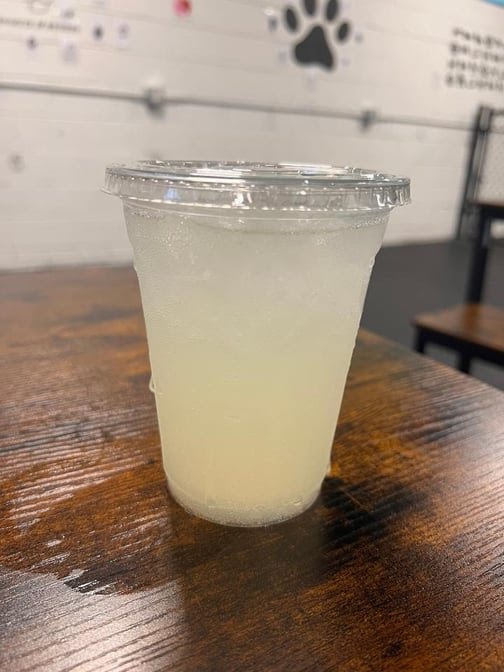 Snouts & Stouts - Dog Bar by null