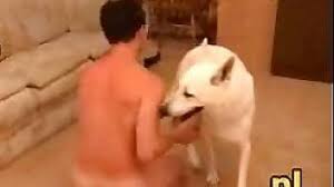 Guy fuck female dog gay beast com men fucks animal extrem sex and taboo porn jpg x Man fucking female dog