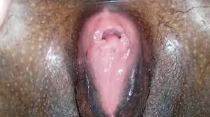 Black vagina jpg x Black vagina