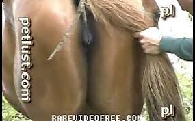 Guy fucks mare jpg x Guy fucks mare