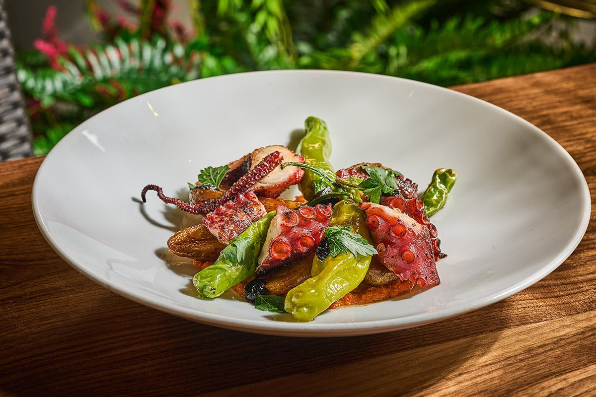 STK Steakhouse by null