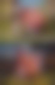 flat_chest hentai 3d|Soul Calibur V Breast Chart ! | 8WAYRUN.com