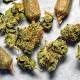 Cities and towns put brakes on marijuana 