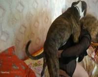 Homemade girl and dog animal sex beastzoo jpg x Homemade dog sex