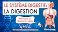 La Digestion des Aliments dans le Système Digestif ile ilgili video