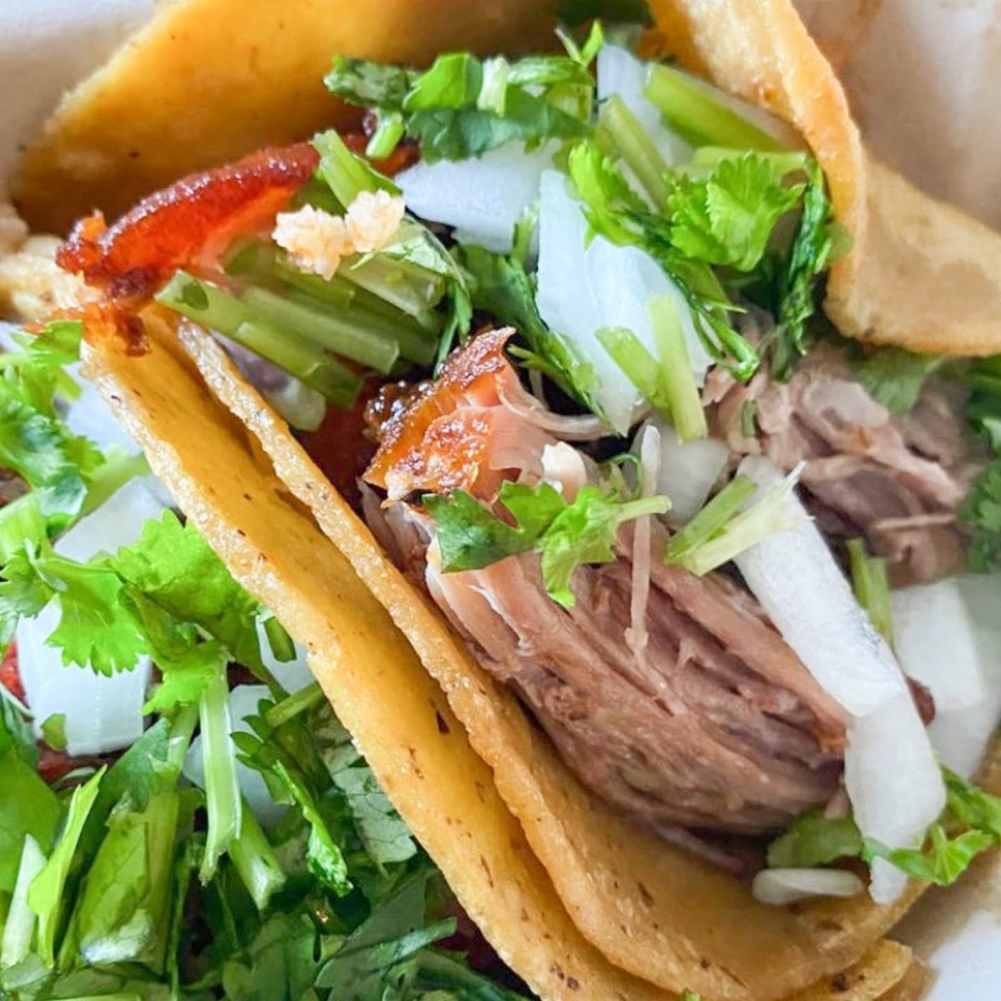 Los Taquero Mucho by null