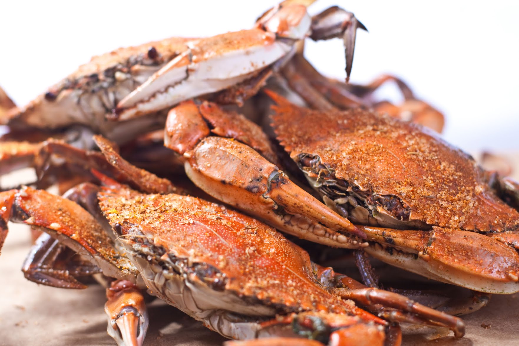 Nick's Crab Market by null